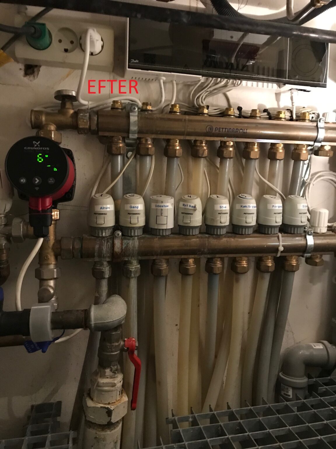 84403602_2548998318655567_6609593083837284352_n